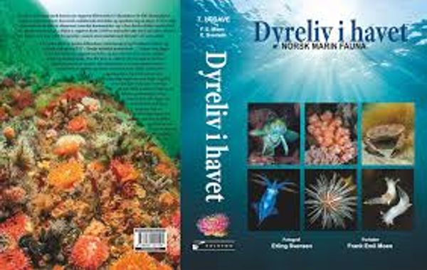 Hovedbilde Dyreliv i havet - norsk marin fauna