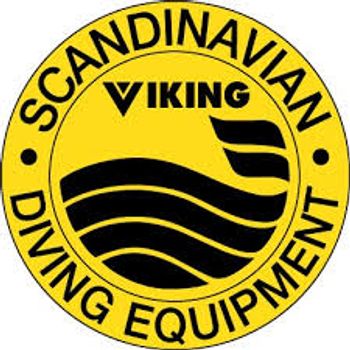 Hovedbilde Viking