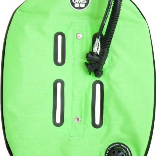 Hovedbilde Performance Mono 14.5 kg Wing Lizard Green/Black