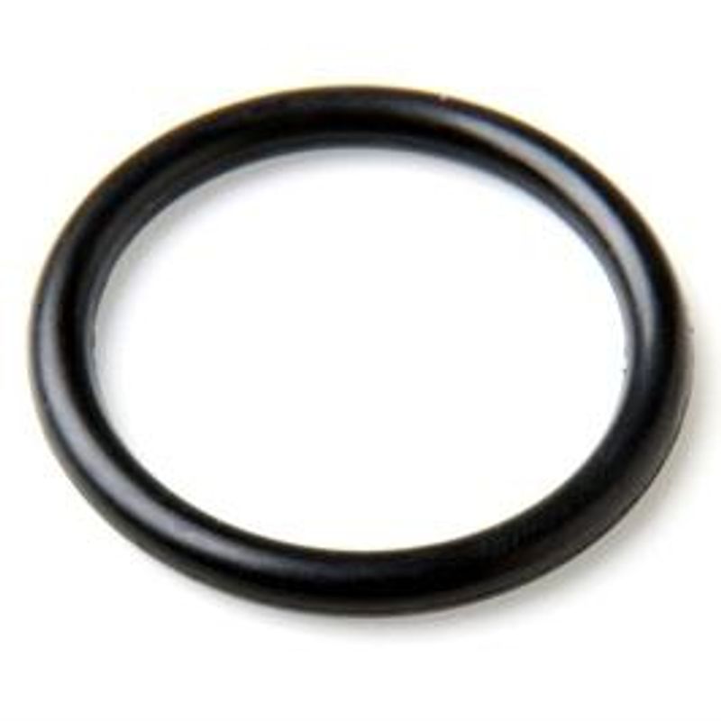 Del, o-ring (cap) OMS P-valve